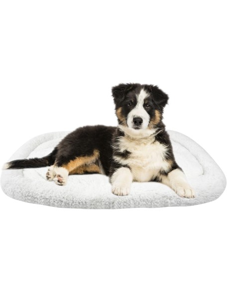 Long Rich HCT ERE-001 Super Soft Sherpa Crate Cushion Dog and Pet Bed, White, By Happycare Textiles, Standard style, 24 x 18 inches