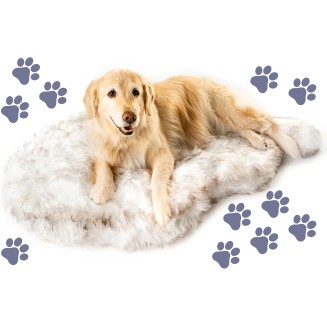 Orthopedic Dog Bed for Large Dogs with Fluffy Soft Faux Fur and Memory Foam for Joint Pain Relief, Machine Washable and Waterproof Couch Bed, White with Brown Accents, Large/Extra Large