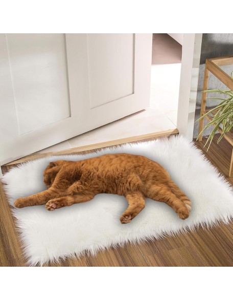 Fluffy Small Dog Cat Bed Mat, Washable Super Soft Plush Faux Fur Warm Area Mat Pad for Indoor Pet Cat Dog Small Sleep Cushion