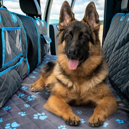 Dog Back Seat Extender - Non Slip, Waterproof Hard Bottom Car Seat Cover for Dogs Up to 200 lbs with Paw Print Design - Heavy Duty Backseat Extender for Dogs SUV, Car Dog Hammock for Truck