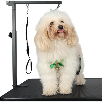 Breeze Touch Dog Grooming Arm, Pet Grooming Table Arm