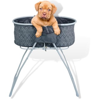 Elevated Dog Bathing Station & Grooming Tub for Small & Medium Dogs, Cats