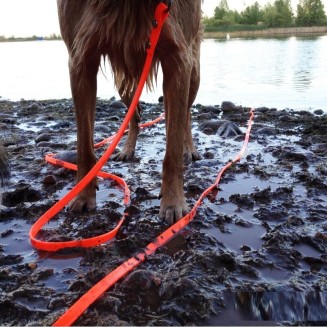 Dog Easy To Clean Leash