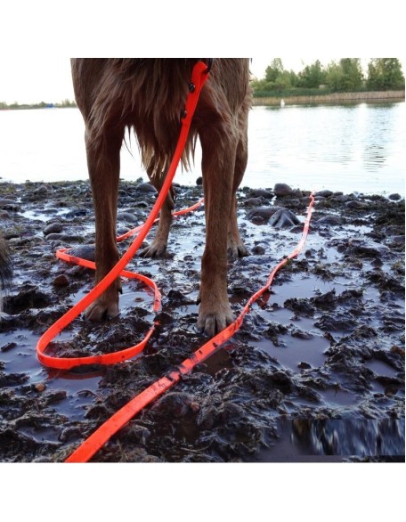 Dog Easy To Clean Leash