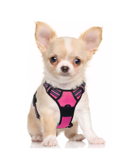 Dog Harness, No-Pull Pet Harness with 2 Leash Clips, Adjustable Soft Padded Dog Vest