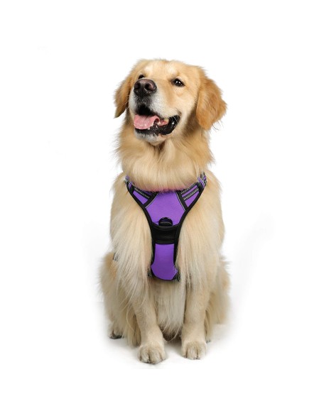 Dog Harness, No-Pull Pet Harness with 2 Leash Clips, Adjustable Soft Padded Dog Vest