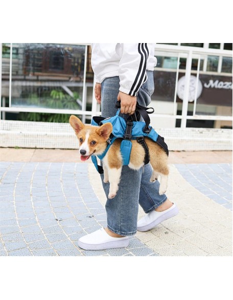 Dog Chest Carrier Harness Backpack with Walking Lead