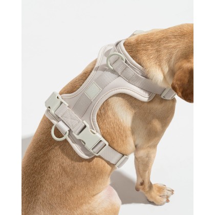 Dog Harness Walk Kit