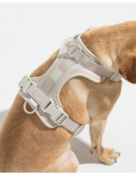 Dog Harness Walk Kit