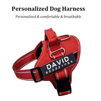 Personalized Dog Harness - Engrave Your Pet's Name