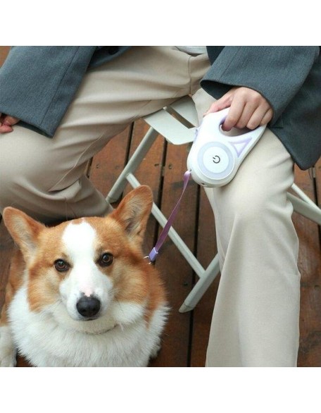 Pet Luminous Leash For Dog And Cat