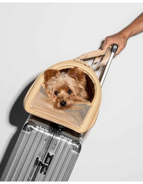 Pet Carrier Airline Approved, Carriers for Medium Cats and Small Dogs