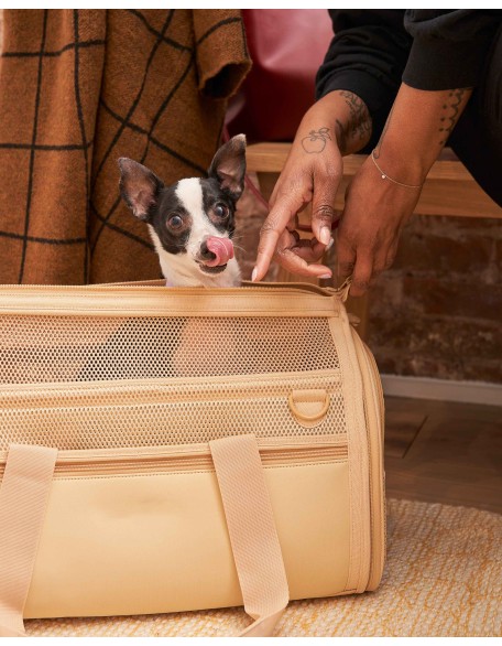 Pet Carrier Airline Approved, Carriers for Medium Cats and Small Dogs