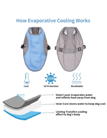 2022 Best Dog Cooling Vest