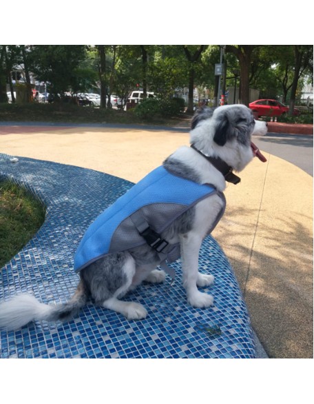 2022 Best Dog Cooling Vest