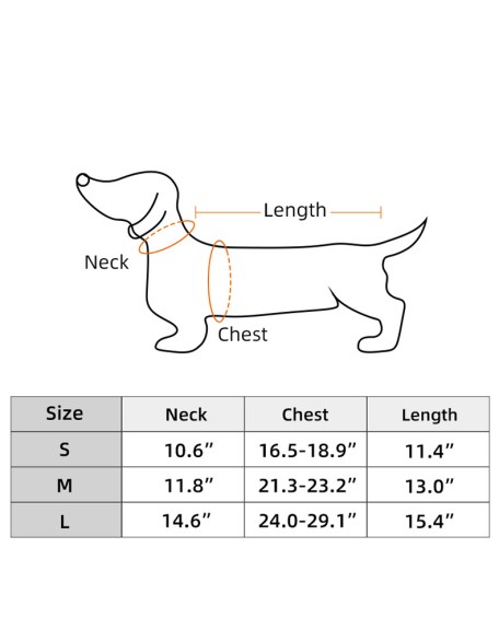 Back Brace for Dogs With IVDD