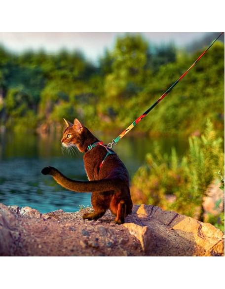 Easy Control Cat Harness and Leash Set for Walking