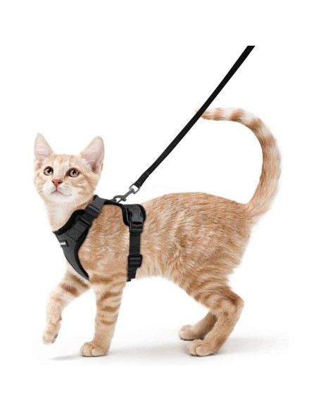 Cat Harness and Leash Set for Walking Cat and Small Dog Harness