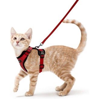 Cat Harness and Leash Set for Walking Cat and Small Dog Harness