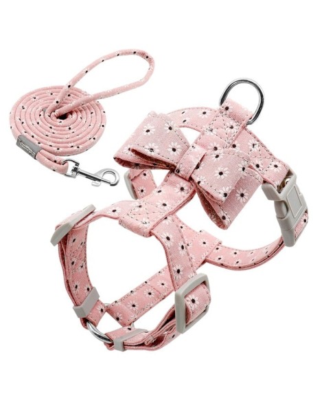 Adjustable Harness and Leash