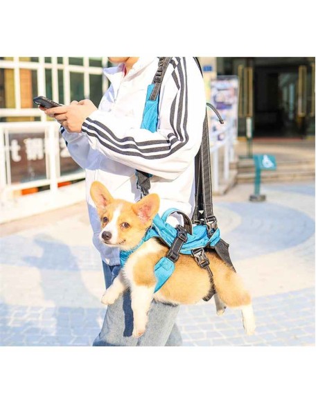 Dog Chest Carrier Harness Backpack with Walking Lead