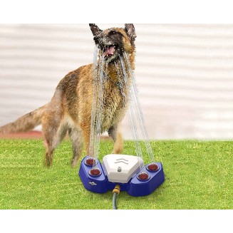 Dog Water Fountain - Dog Water Bowl Fountain - Dog Fountain