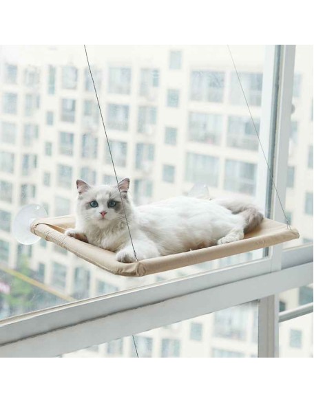 Cute Cat Window Hammock