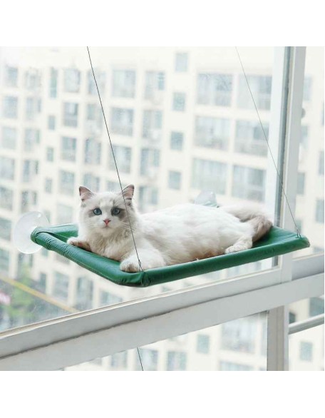 Cute Cat Window Hammock