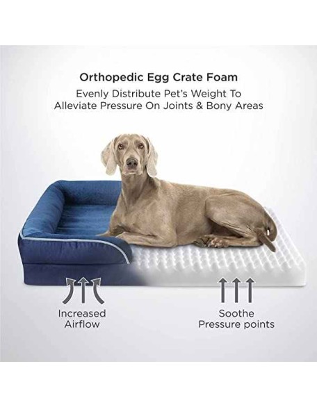 Orthopedic Dog Bed, Bolster Dog Beds