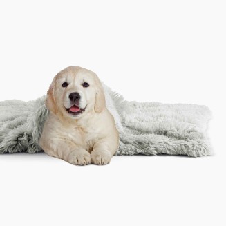 Matching Buddy Dog Blanket