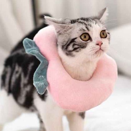 Cute Cat Cone Collar