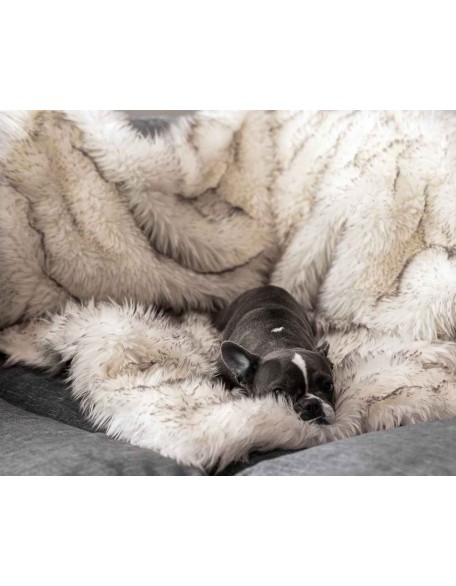 Luxury Throw Blanket for Dogs| Comfort Waterproof Dog Blanket