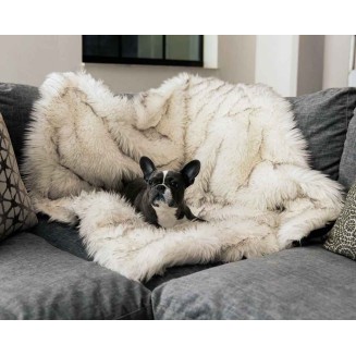 Luxury Throw Blanket for Dogs| Comfort Waterproof Dog Blanket