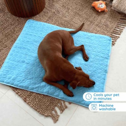 Ultimate Cooling Mat for Pets