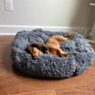 Calming Dog Bed - Anxiety Relieving Dog Bed, Anti-Anxiety Donut Pet Bed