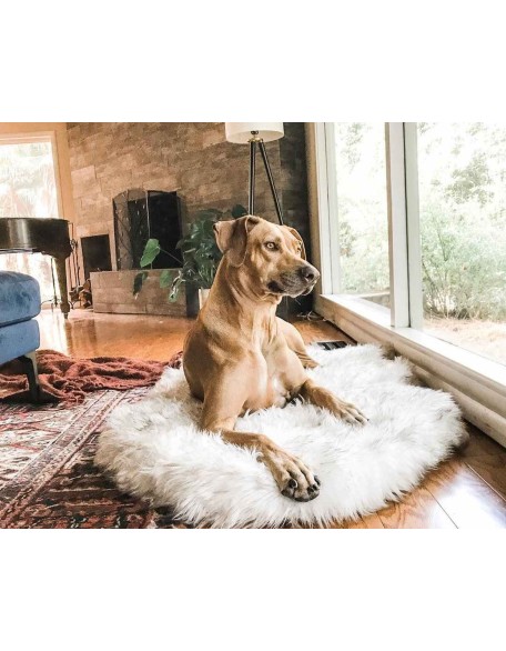 Faux Fur Orthopedic Dog Bed