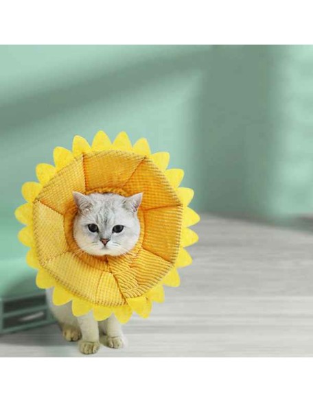 Sunflower Cats Dogs Cones