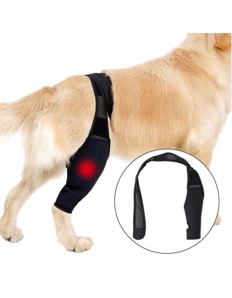 Neoprene Rear Dog Knee Brace for Torn ACL