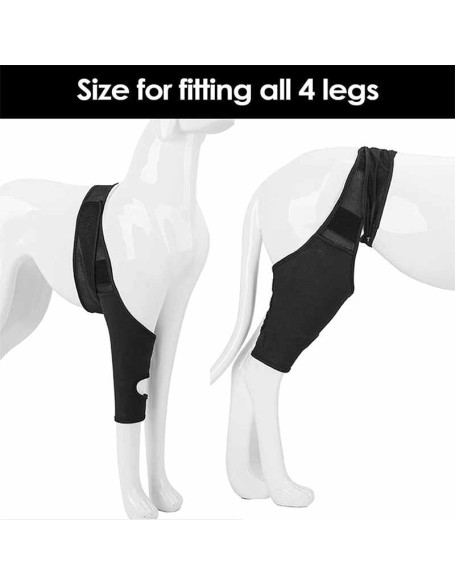 Neoprene Rear Dog Knee Brace for Torn ACL