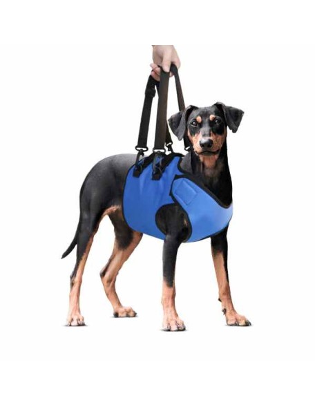 Dog IVDD Lift Harness/ Support & Rehabilitation Sling with Adjustable Strap