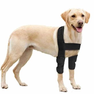 Double Knee Brace for Dogs