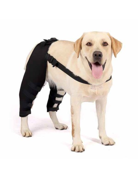 Double Knee Brace for Dogs