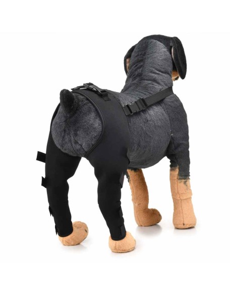 Double Knee Brace for Dogs