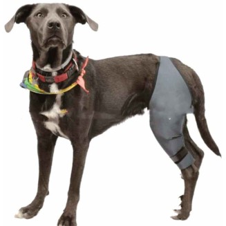 Dog Braces - Knee Brace for Dogs - Cruciate Support