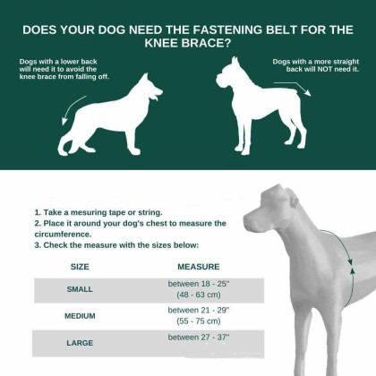 Dog Braces - Knee Brace for Dogs - Cruciate Support