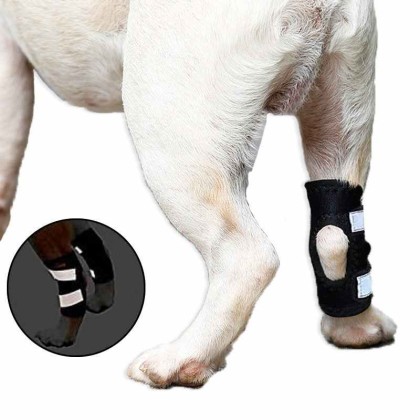 Rear Dog Leg Hock Brace With Reflective Straps