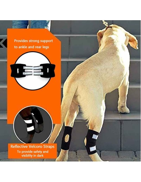 Rear Dog Leg Hock Brace With Reflective Straps