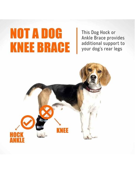 Rear Dog Leg Hock Brace With Reflective Straps