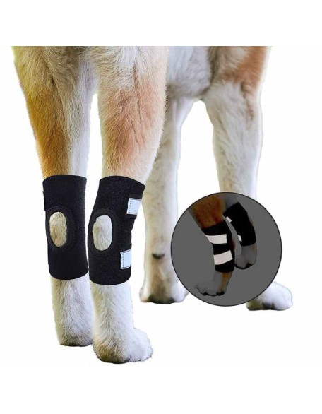 Rear Dog Leg Hock Brace With Reflective Straps