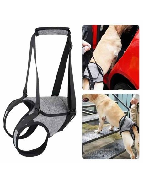 Care Dog Leg Support Harness - Gentle Assistance for Elderly Disabled Dogs